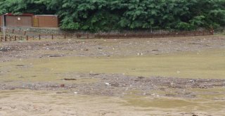 Şiddetli Yağış Sera Gölünü Çöp Ve Çamurla Kapladı