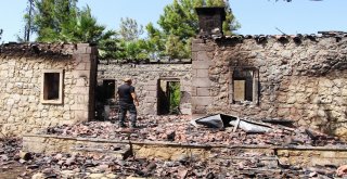 Orman Yangınında Küle Dönen Lüks Villanın Köpekleri Villayı Terk Etmedi