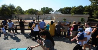 Kurban Bayramında Hayvanat Bahçesine Yoğun İlgi