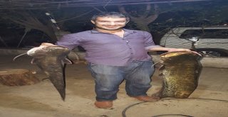 Çine Çayı Bereket Saçıyor
