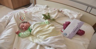 Bebekler Fidanlarıyla Büyüyecek