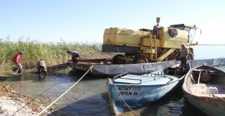Adadaki Hasat Sonrası Biçerdöverin Göldeki Yolculuğu