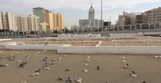 Hacı Adayları Eshab-I Kirama Koşuyor