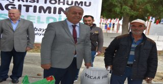 Tekirdağ Büyükşehir Belediyesi Yem Bitkisi Tohumu Dağıtımına Devam Ediyor