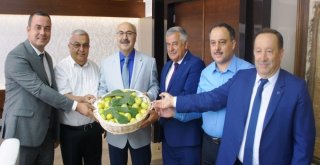 Aydın Ticaret Borsasından İlk Taze Aydın İnciri Vali Köşgere