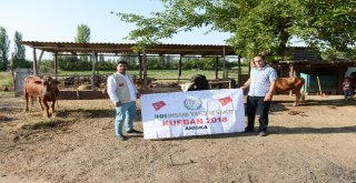 İhh Azerbaycanda Kurban Kesimi Yaptı