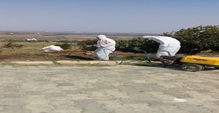 Şarbon Şüphesiyle Karantinaya Alınan Mahallelerde İlaçlama Devam Ediyor