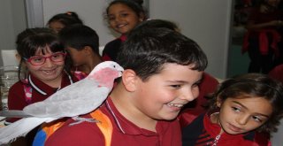 Petzoo Ankara Fuarı 2İnci Kez Kapılarını Açtı