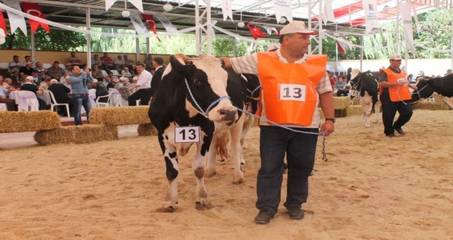 Çiğ İnek Sütüne Zam