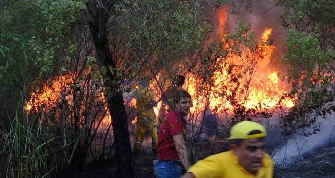 Siirtte 3 Gündür Süren Orman Yangını, Güçlükle Söndürüldü