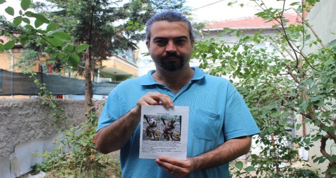 Çeliki Bulan Bin Liranın Sahibi Olacak