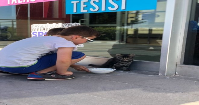 Su Giderine Sıkışan Kediyi Çocuklar Kurtardı