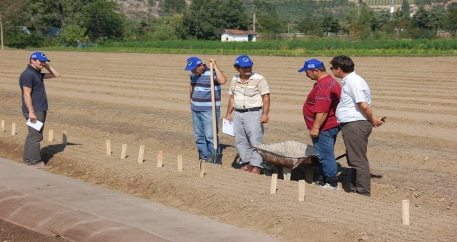 Eğirdir Fidanlık Müdürlüğü İle Batı Akdeniz Ormancılık Araştırma Enstitüsünden Ortak Çalışma