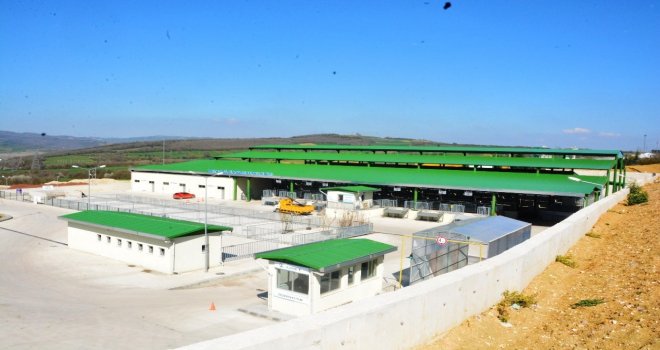 Hayvan Pazarı İşbaşı Yapıyor