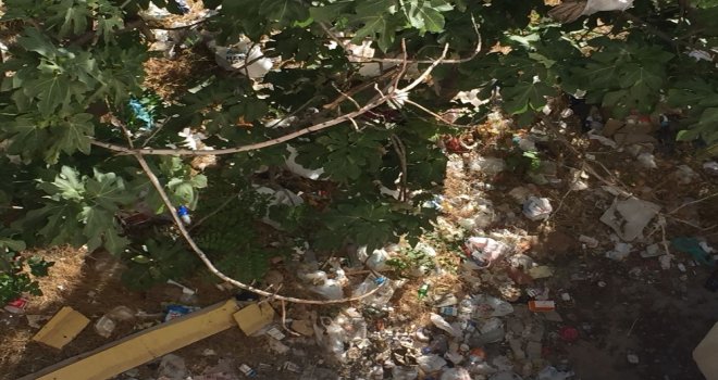 Mahalle Halkı Çevre Kirliliğinden Şikayetçi