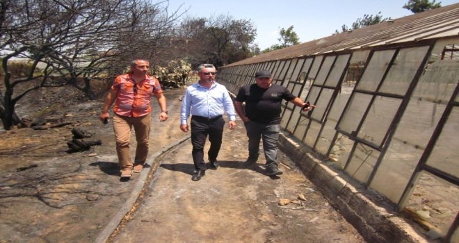 Aksudaki Orman Ve Tarım Arazileri Yangını