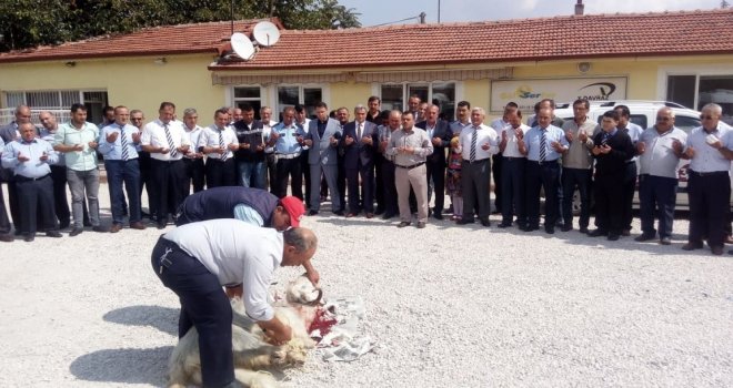 Ser-Turda Bu Yıl Havuz Sistemi Uygulanacak