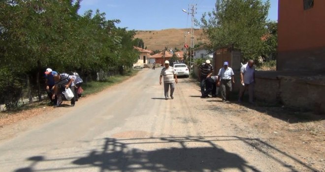 Köyleri Temiz Kalsın Diye Seferber Oldular
