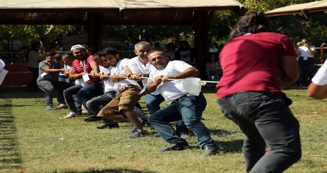 Ormana Üzüm Festivalinde Renkli Görüntüler