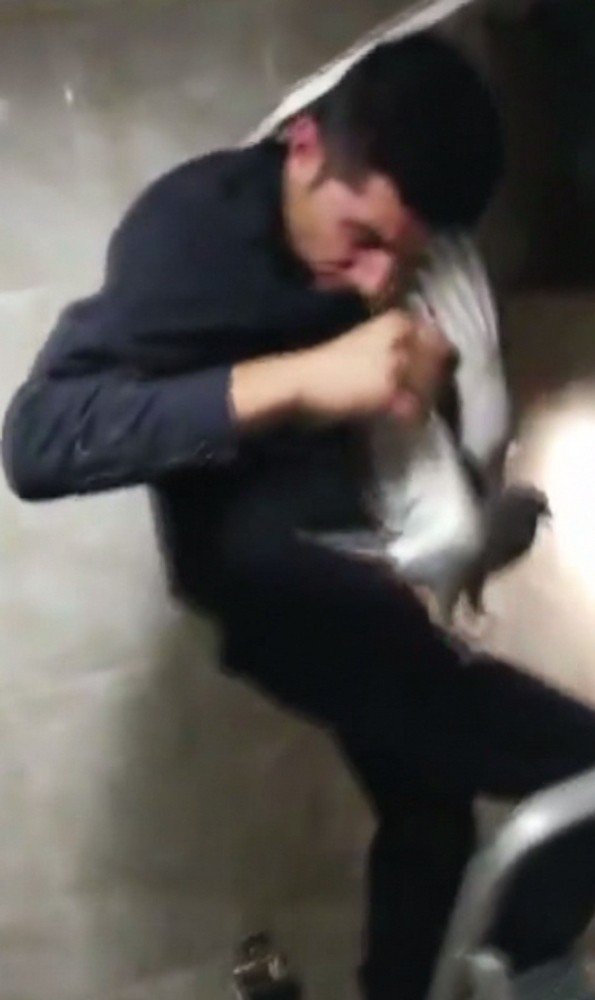 Havalandırma Boşluğuna Düşen Kuşu İtfaiye Ekipleri Kurtardı