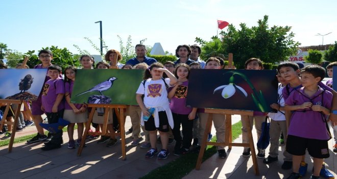 Konyaaltında Sokak Hayvanları İçin Farkındalık