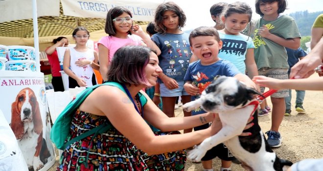 Büyükşehir, Şaymana Festte Kedi Ve Köpekler İçin Stant Açtı