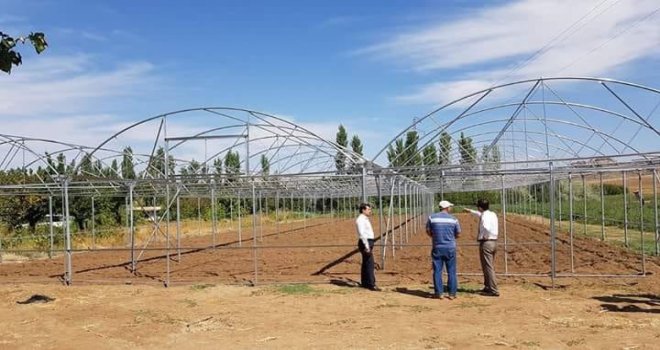 Kaman İlçesinde Örtü Altı Sebze Yetiştiriciliği