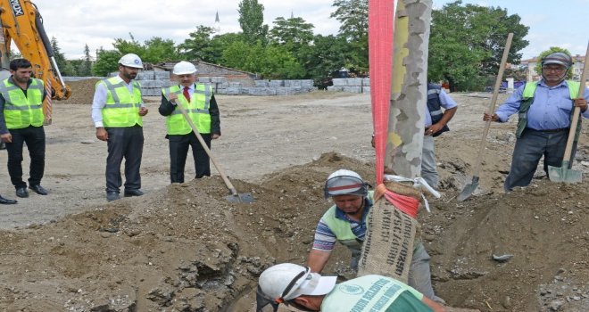 Çorum Belediyesi 40 Bin Yetişmiş Ağaç Dikecek