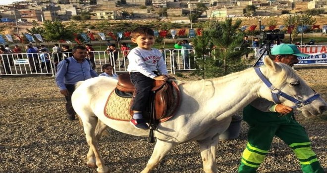Şahinbey Belediyesi Çocukları Midilli Atlarıyla Buluşturdu