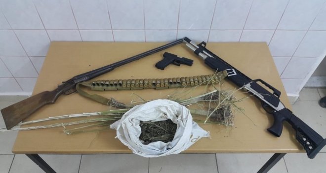 Çankırıda 69 Kök Kenevir Ele Geçirildi