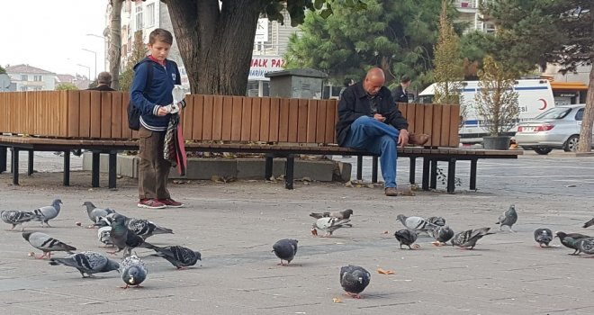 Düzcenin Güvercinli Meydanları Çocukların İlgi Odağı Oldu