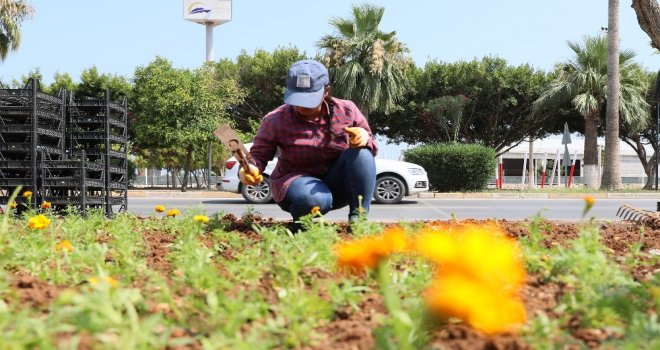 Mersin Caddeleri Mevsim Çiçekleriyle Renkleniyor