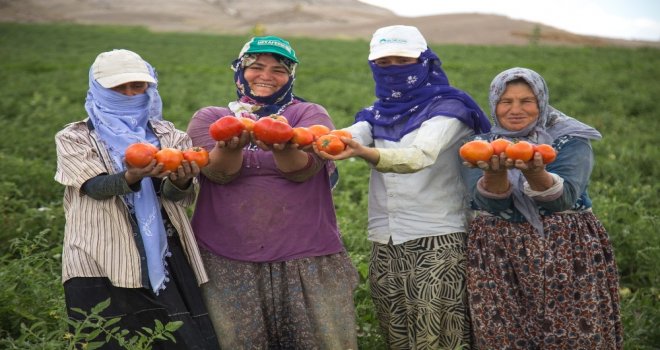 Ankara Büyükşehirden Tarım Ve Hayvancılığa Tam Destek