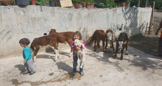 Genç Çiftçi Projesi Yüz Güldürüyor