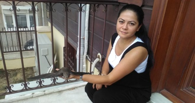 Tekirdağda Ebabil Kuşu Bulundu