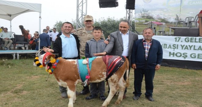Çambaşı Yaylası Festivali 2Nci Gününde