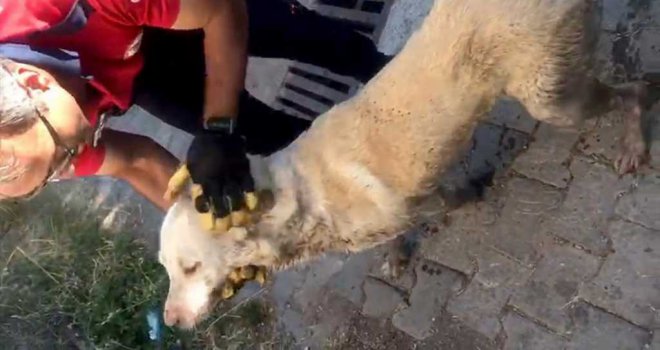 Büyükşehir İtfaiyeden nefes kesen kurtarma