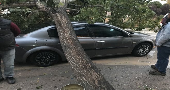 Muradiyede Etkili Olan Yağmur Ve Fırtına Hayatı Olumsuz Etkiledi