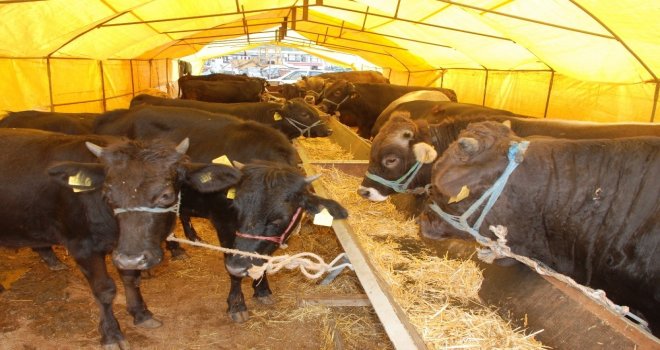 Kurban Kesim Kurallarına Uymayana 3 Bin 150 Tlye Kadar Ceza Kesilecek