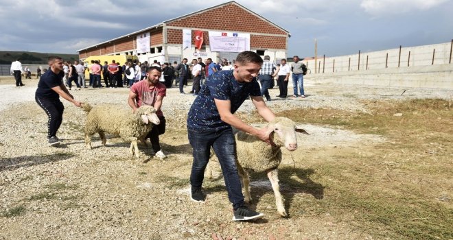 Tikadan Kosovalı Çiftçilere Destek