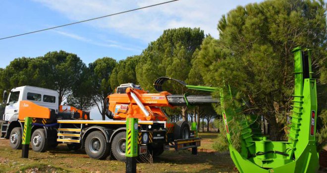 Büyükşehir'den Ağaçları Yeni Yerlerine Nakleden Hizmet