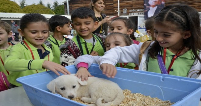 Hayvanları Koruma Günü Etkinliğine 2 Bin 100 Öğrenci Katıldı