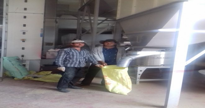 Çiftçiler, Ekim İçin Tohumluk Hazırlığına Başladı