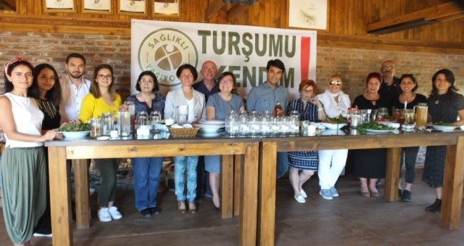 Turşuda Sirke Mi Yoksa Limon Tuzunun Mu Daha Yararlı Olduğu Araştırılacak