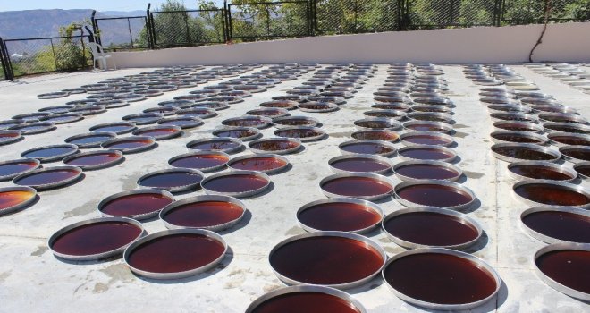 Tut İlçesinin Ekonomisini Dolu Vurdu