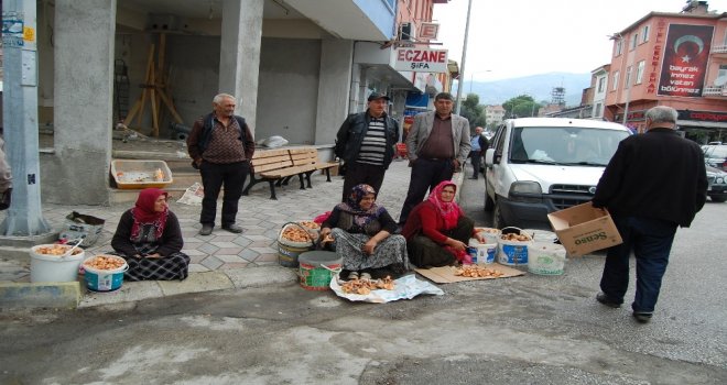 Kargıda Mantar Sofralardaki Yerini Aldı