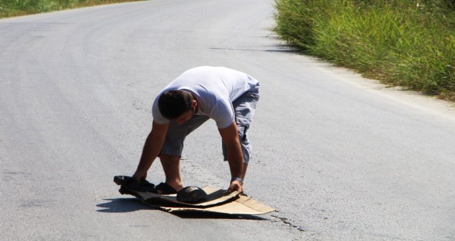 Tatilci Kaplumbağaya Siper Oldu