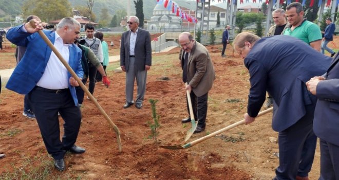 Muhtarlar Yıldızlı Yonca Kavşağına Ağaç Diktiler