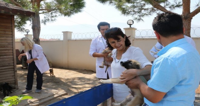 Manisada Hayvan Bakım Merkezi Bayramda Görevde