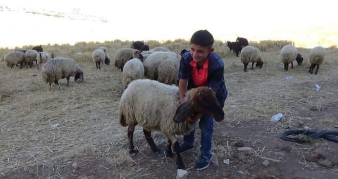 En Büyük Hayali Şaşırttı